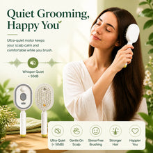 Load image into Gallery viewer, 2026 New Electric Steam Brush, Electric Steam Brushs for Hair, Rechargeable Steam Hair Straightener, Detangling Steams Brush, Reduce Frizz, Nourishes Hairs, Anti-Static
